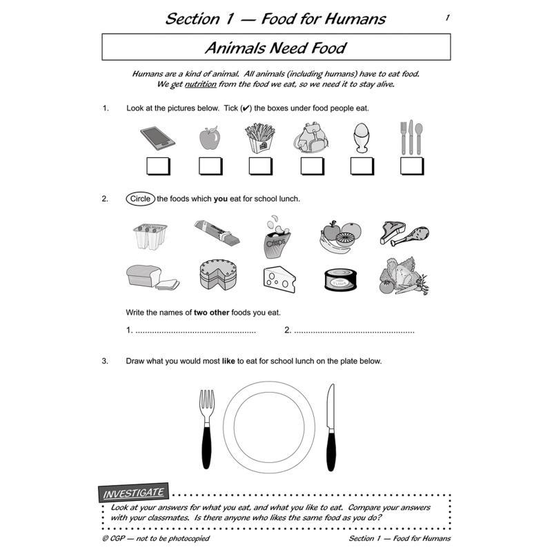 KS2 Nauka, Trzeci Rok Szkolny, – Nutrition Workout recenzja i cena